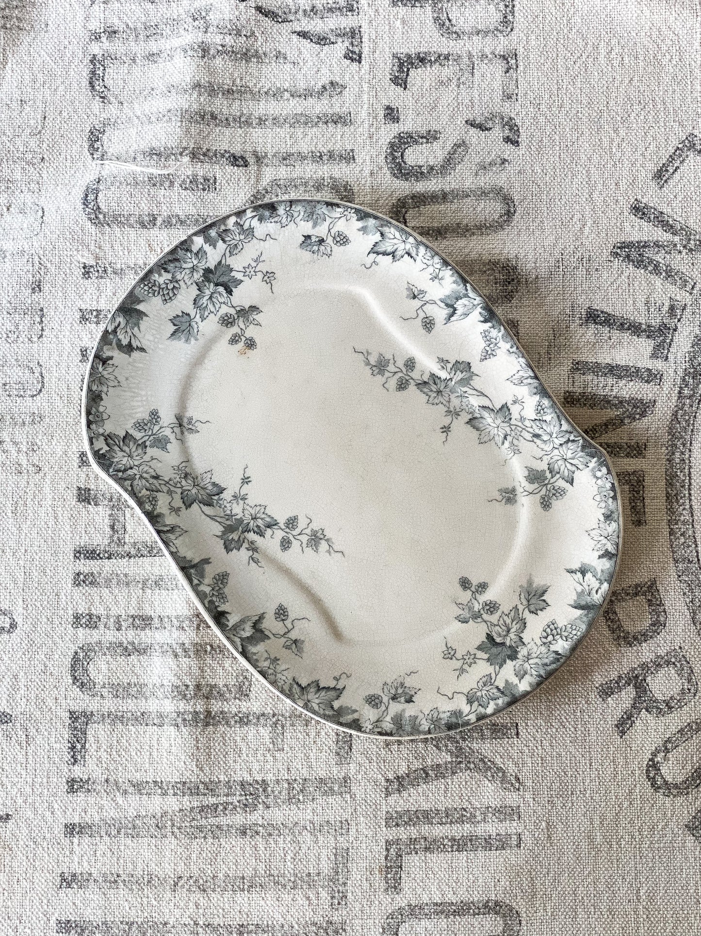 Unique Ironstone Platter