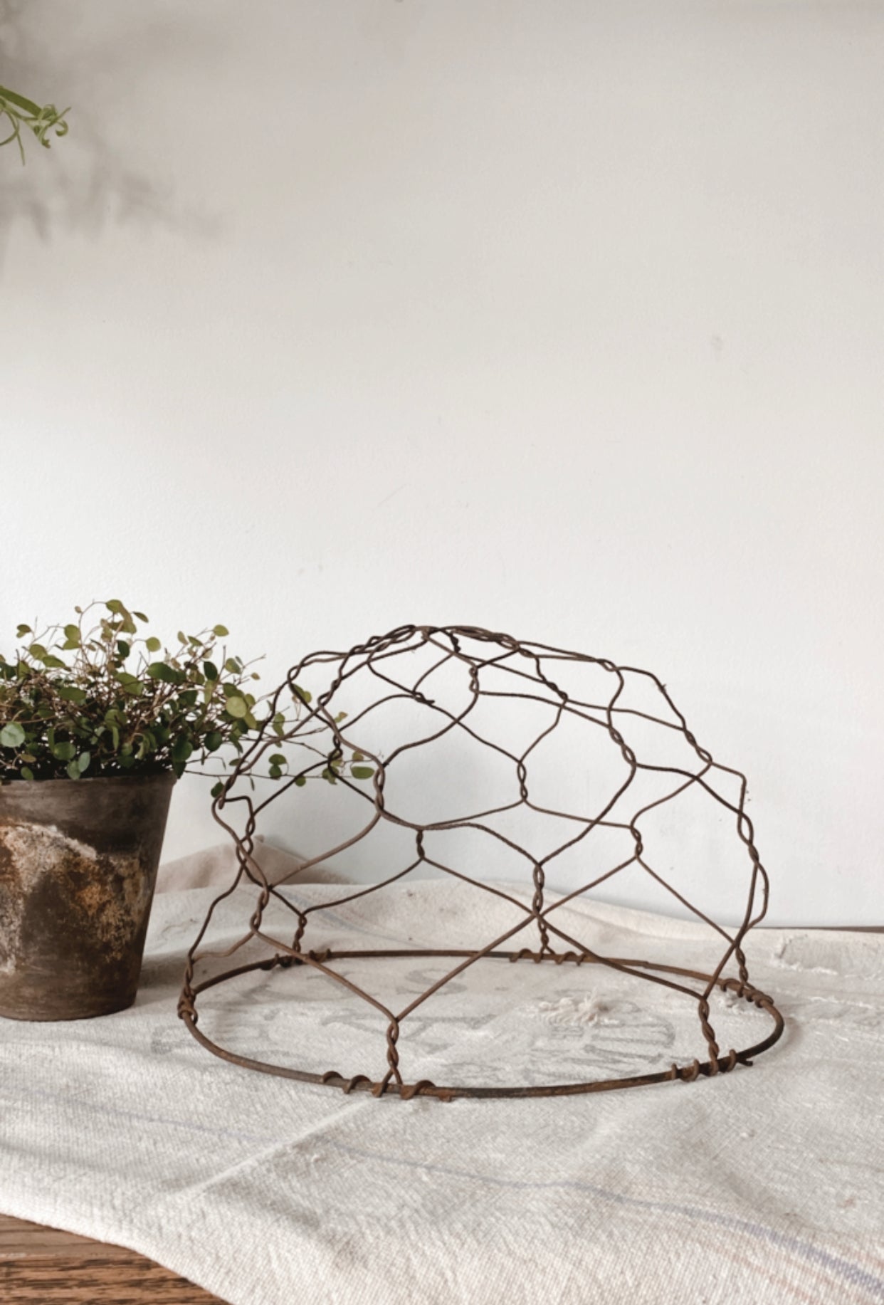 Antique Wire Horse Muzzle