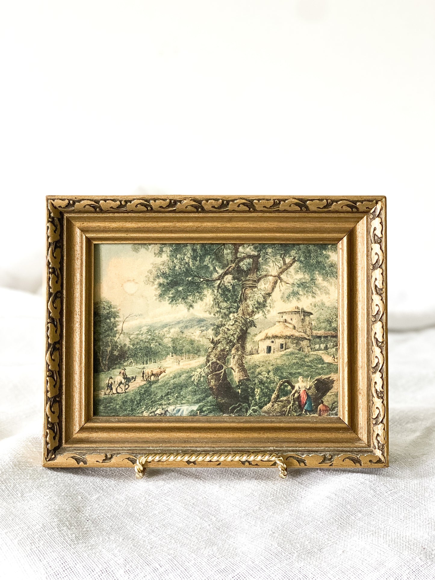Vintage Landscape Framed Photo