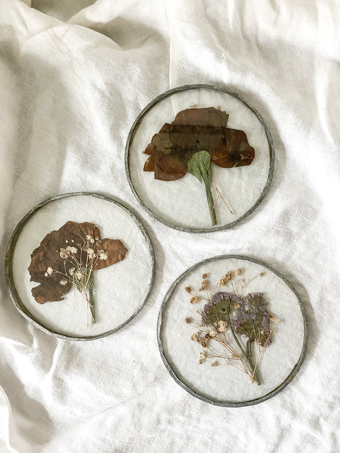 Vintage Pressed Dried Flowers