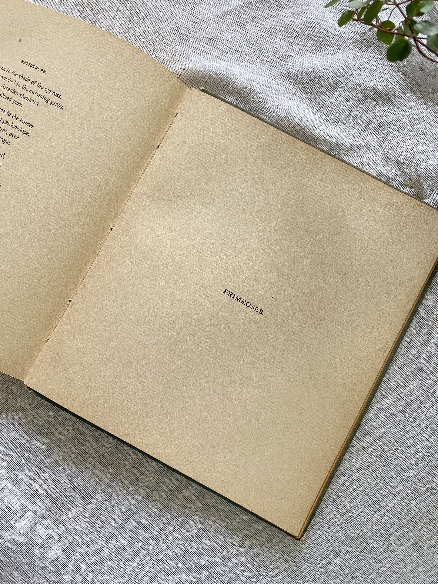 19th Century Garden Book