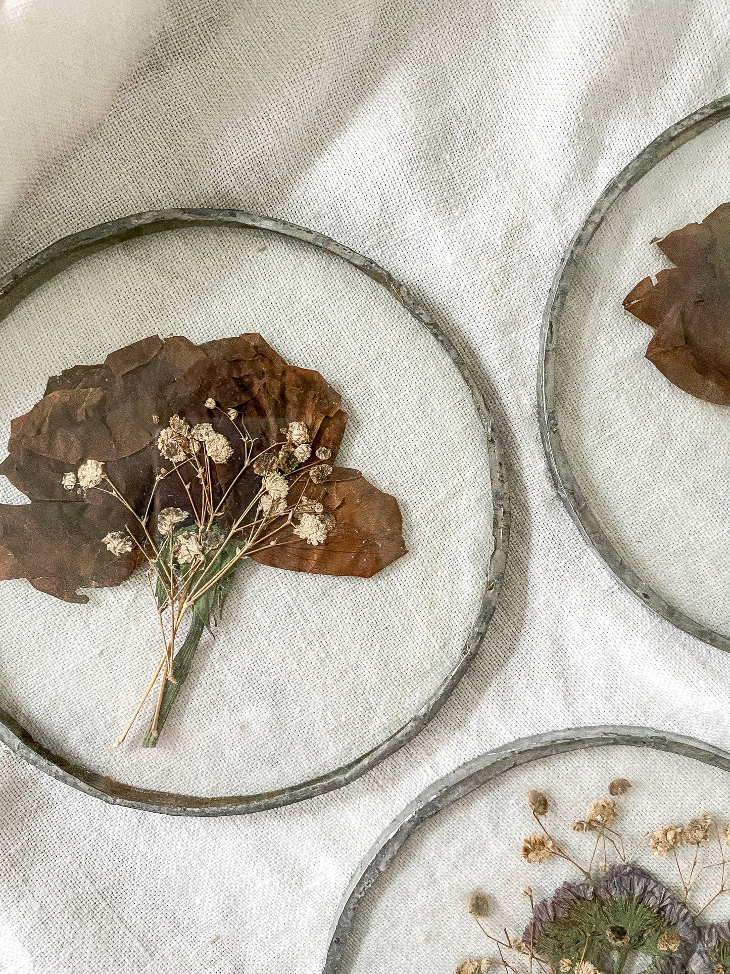 Vintage Pressed Dried Flowers