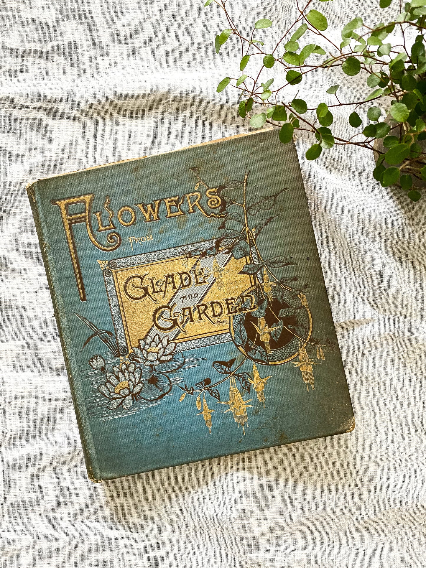 19th Century Garden Book