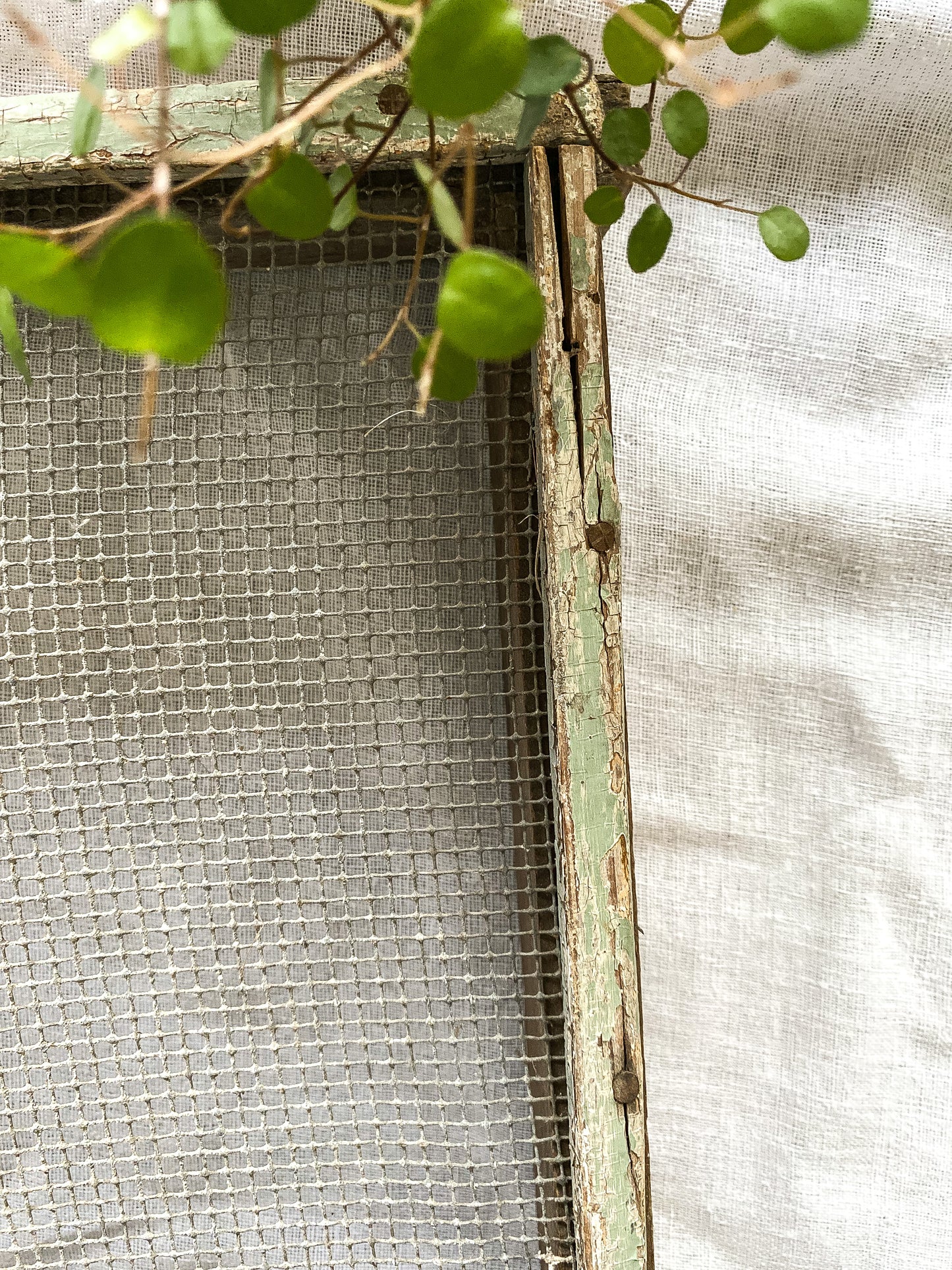 Primitive Handmade Farm Seed/Grain Sieve Sifter