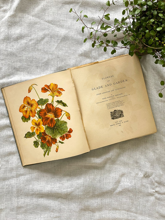 19th Century Garden Book