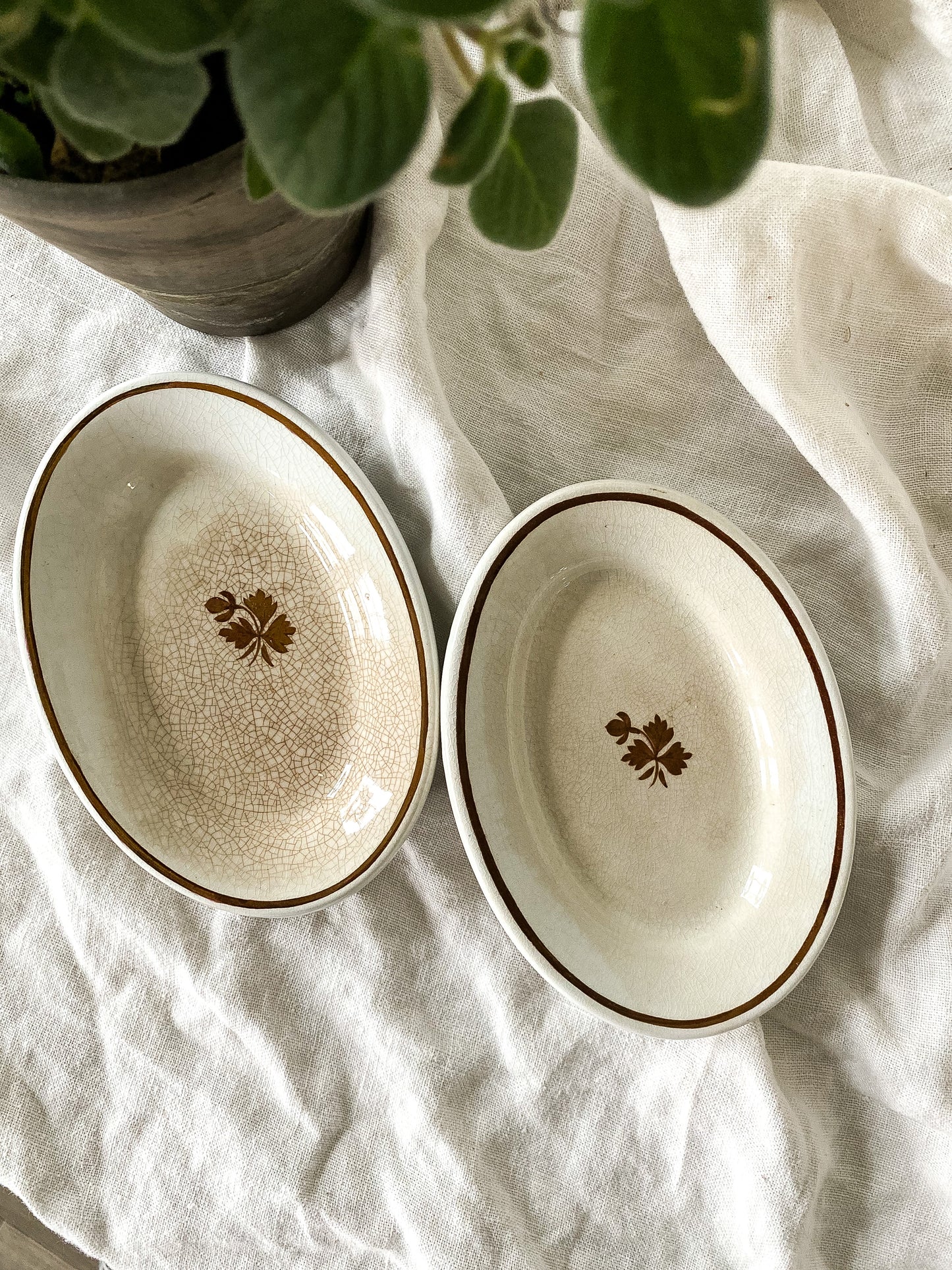 Stained Ironstone Soap Dishes