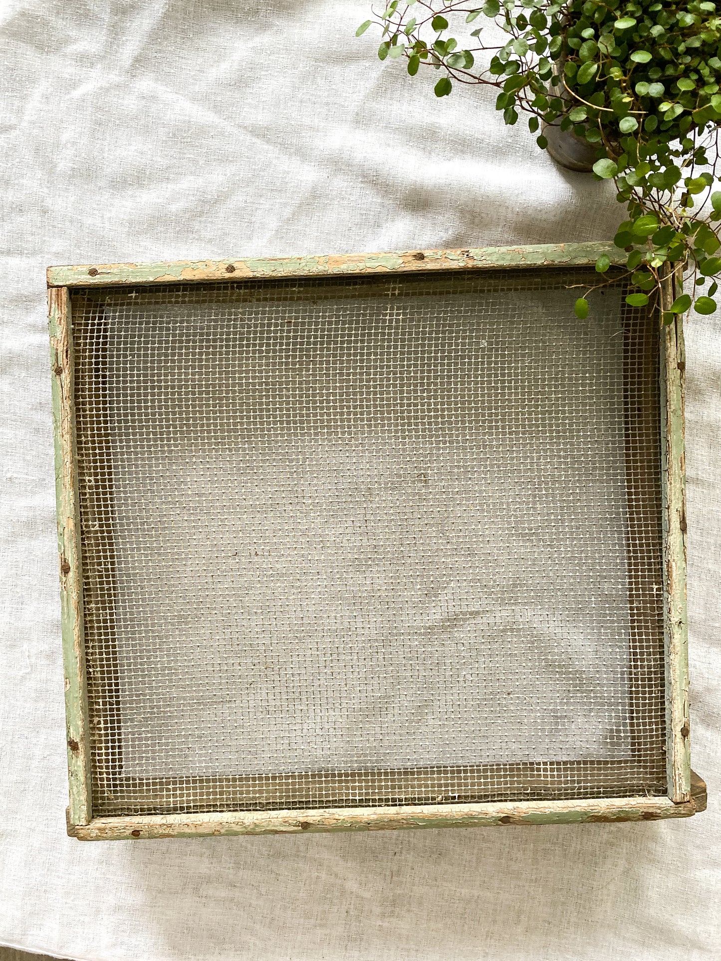 Primitive Handmade Farm Seed/Grain Sieve Sifter