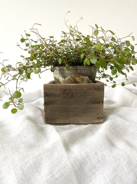 Primitive Hand Made Amish Box