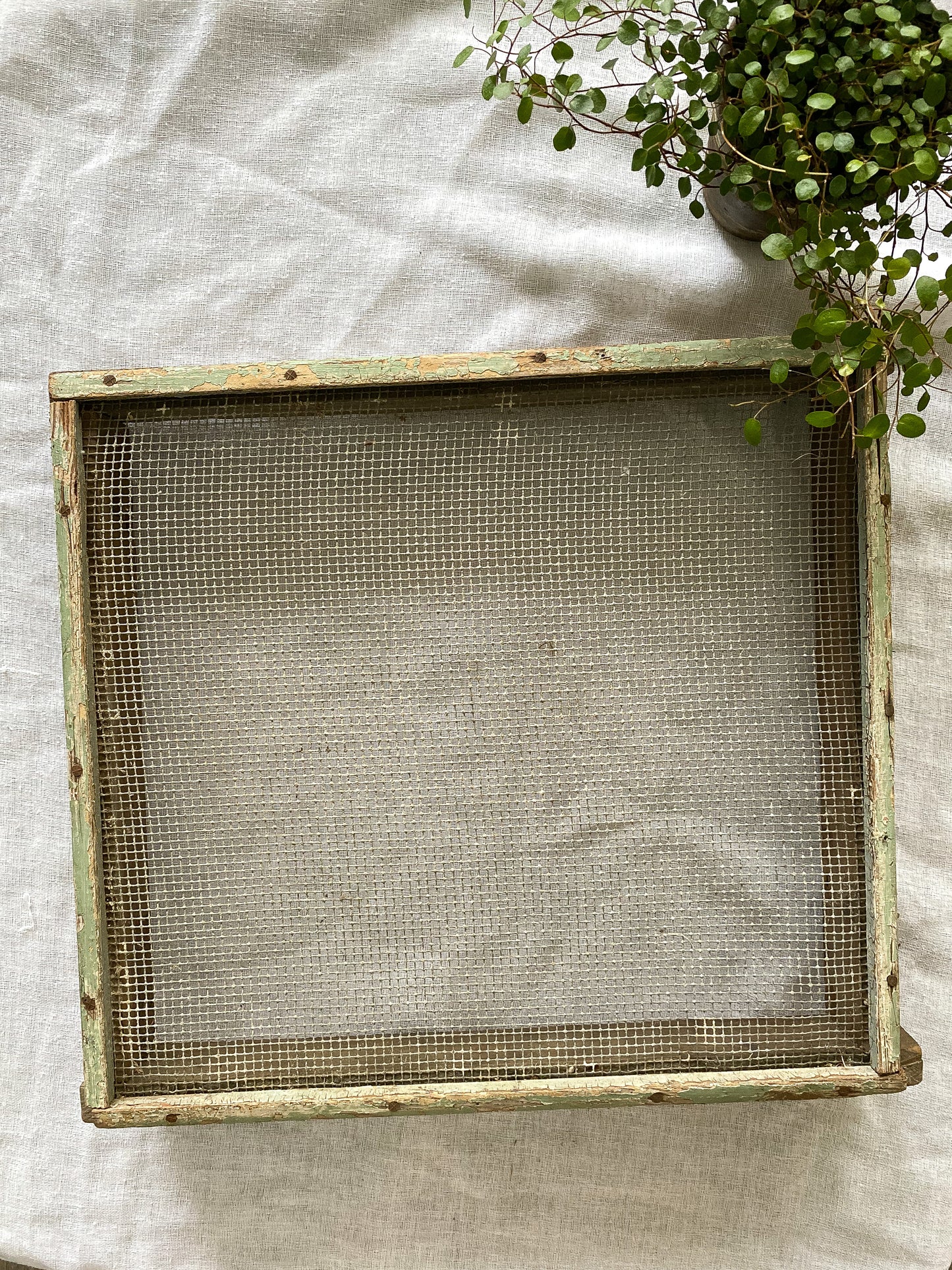 Primitive Handmade Farm Seed/Grain Sieve Sifter