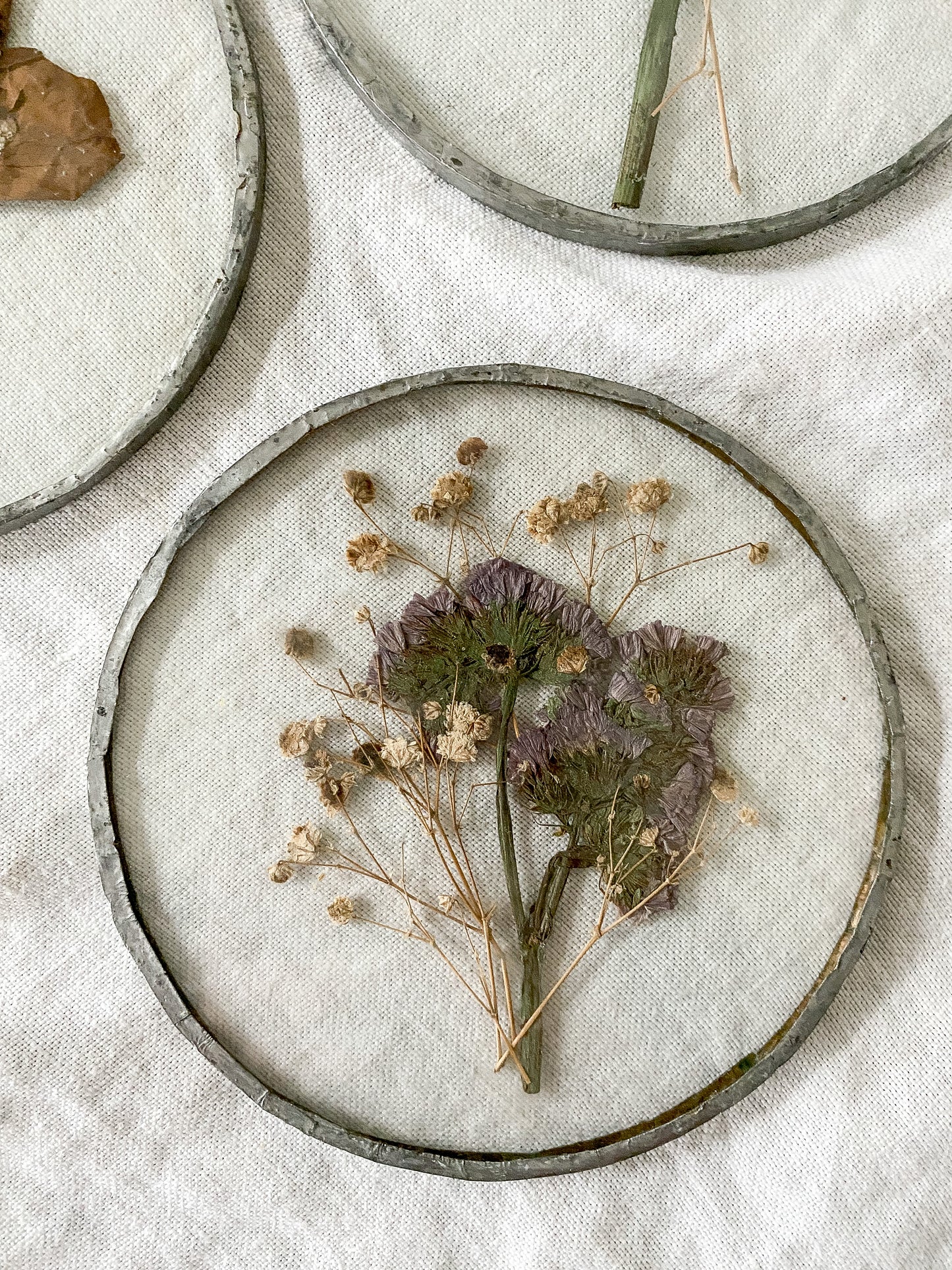 Vintage Pressed Flowers