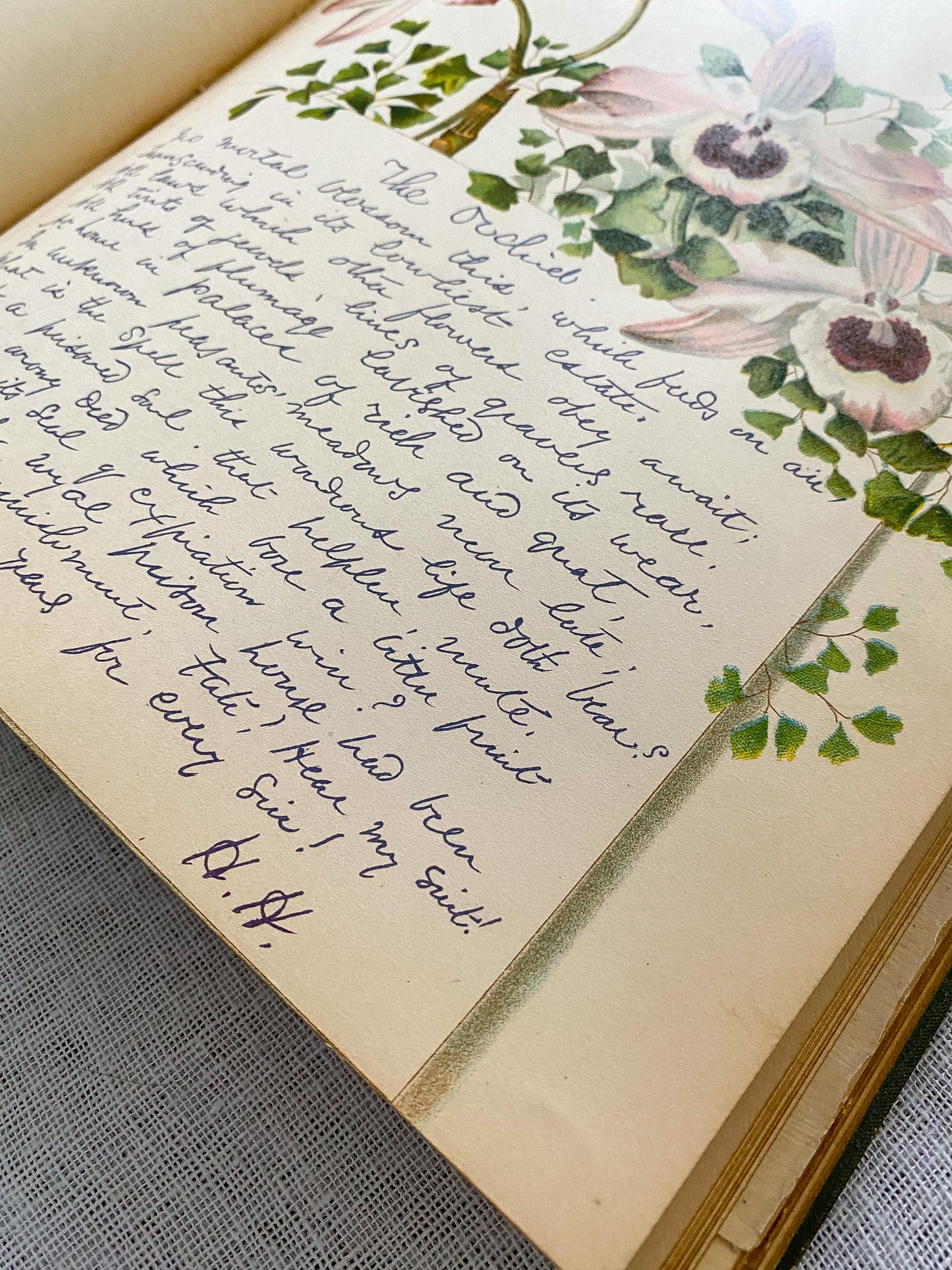19th Century Garden Book